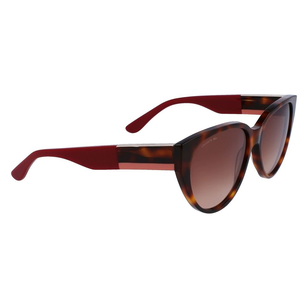 Lacoste Brown Acetate Sunglasses - Image 3
