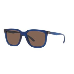 Arnette Blue Acetate Sunglasses