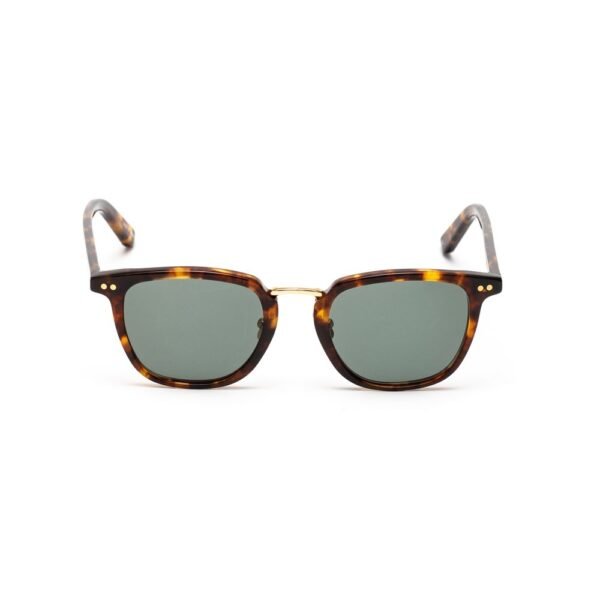 Belstaff Brown Acetate Sunglasses - Image 2
